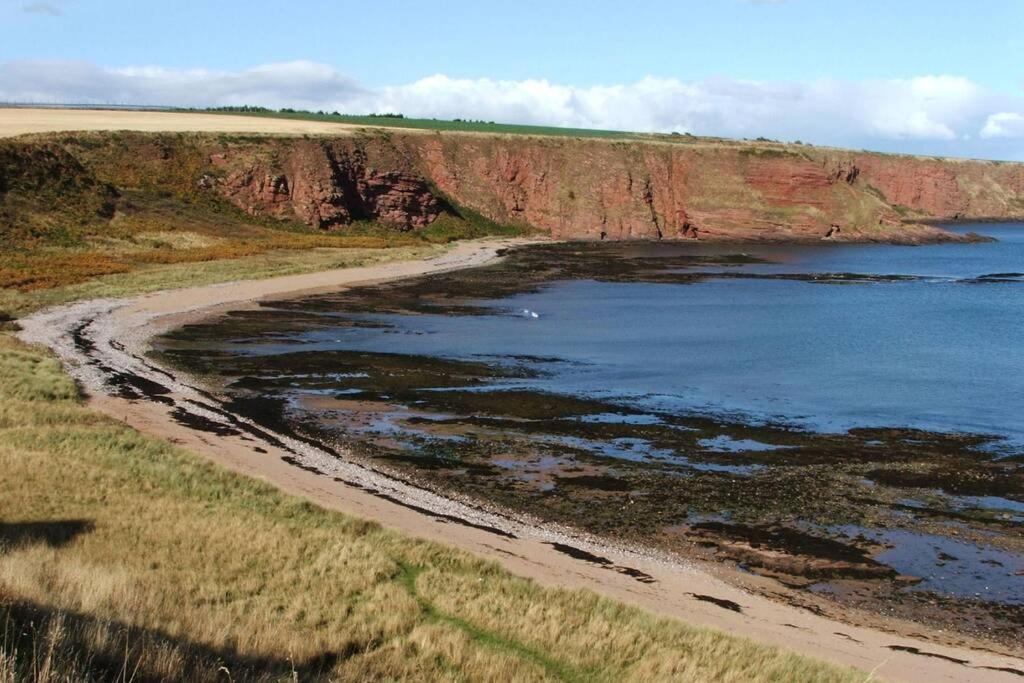 Bell Rock View Arbroath Angus Exterior foto